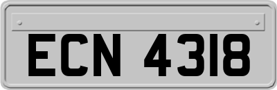 ECN4318