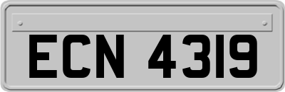 ECN4319
