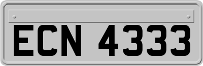 ECN4333