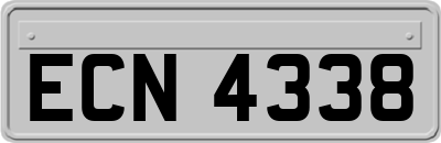 ECN4338