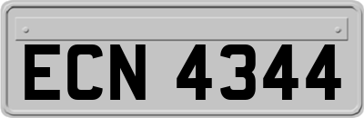 ECN4344