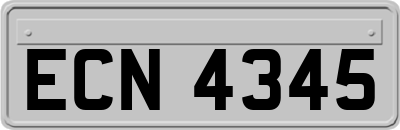 ECN4345