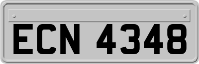 ECN4348