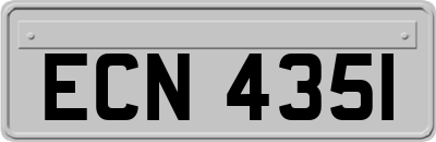 ECN4351