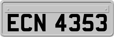 ECN4353