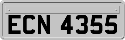 ECN4355