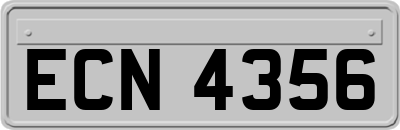 ECN4356