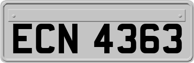 ECN4363