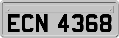 ECN4368
