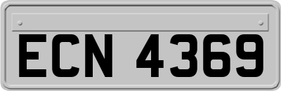 ECN4369