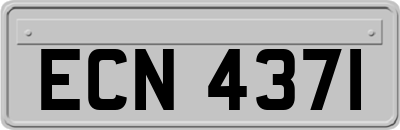 ECN4371