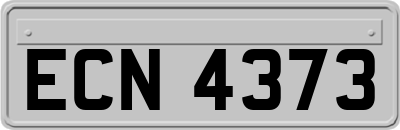 ECN4373