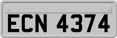 ECN4374