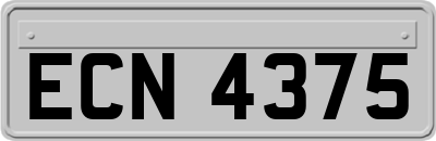 ECN4375