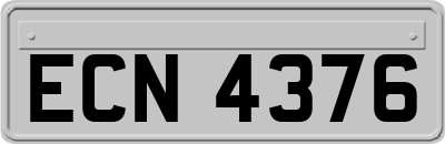 ECN4376