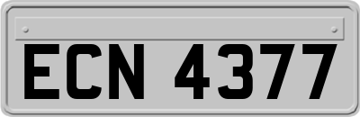 ECN4377