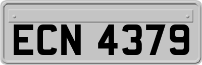 ECN4379