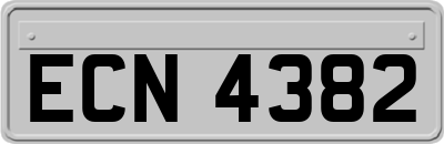 ECN4382