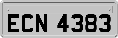 ECN4383
