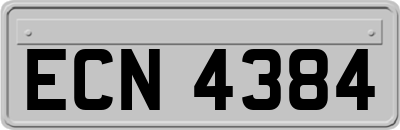 ECN4384