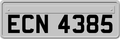 ECN4385