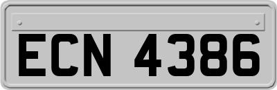 ECN4386