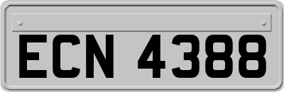 ECN4388