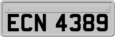 ECN4389