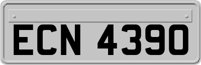 ECN4390