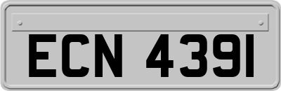 ECN4391
