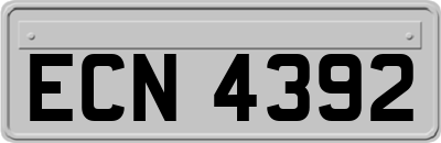 ECN4392