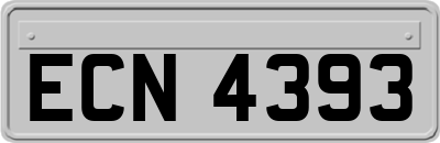 ECN4393