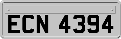 ECN4394
