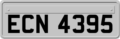 ECN4395