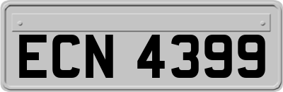 ECN4399