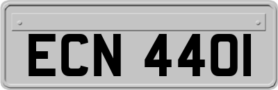 ECN4401