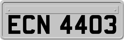 ECN4403