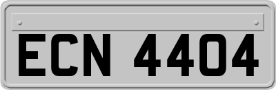 ECN4404
