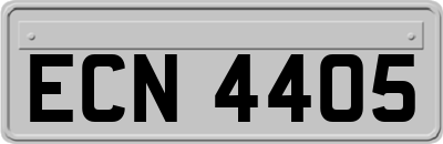 ECN4405