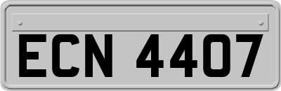 ECN4407