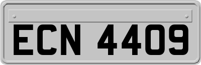 ECN4409