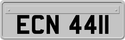 ECN4411