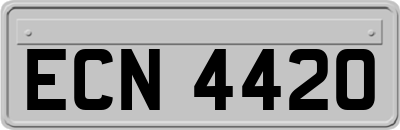 ECN4420