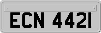 ECN4421