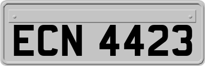 ECN4423