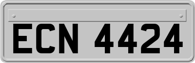 ECN4424