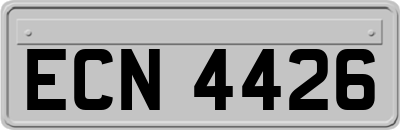 ECN4426