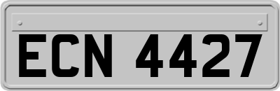 ECN4427