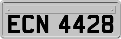 ECN4428