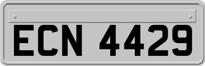 ECN4429